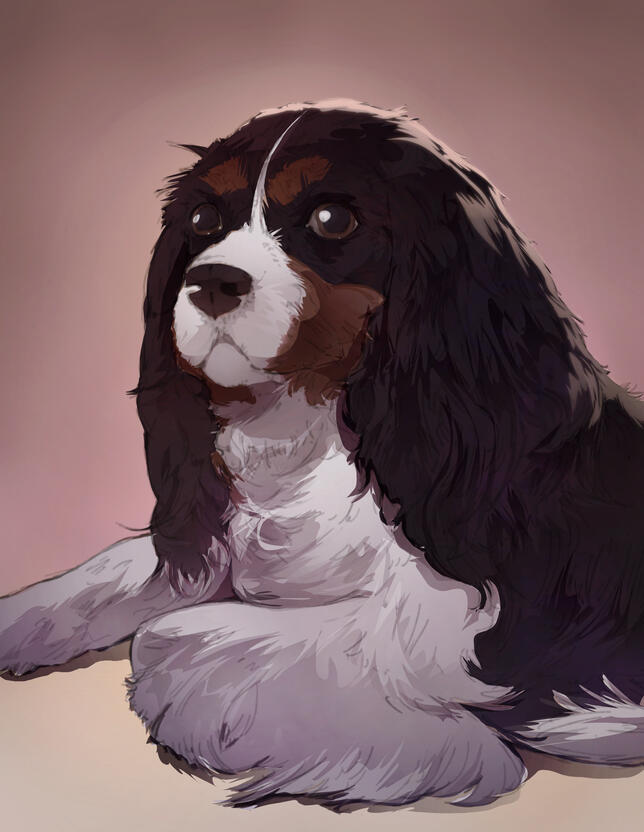 KrissiCarsonart's mom's dog, Lexi