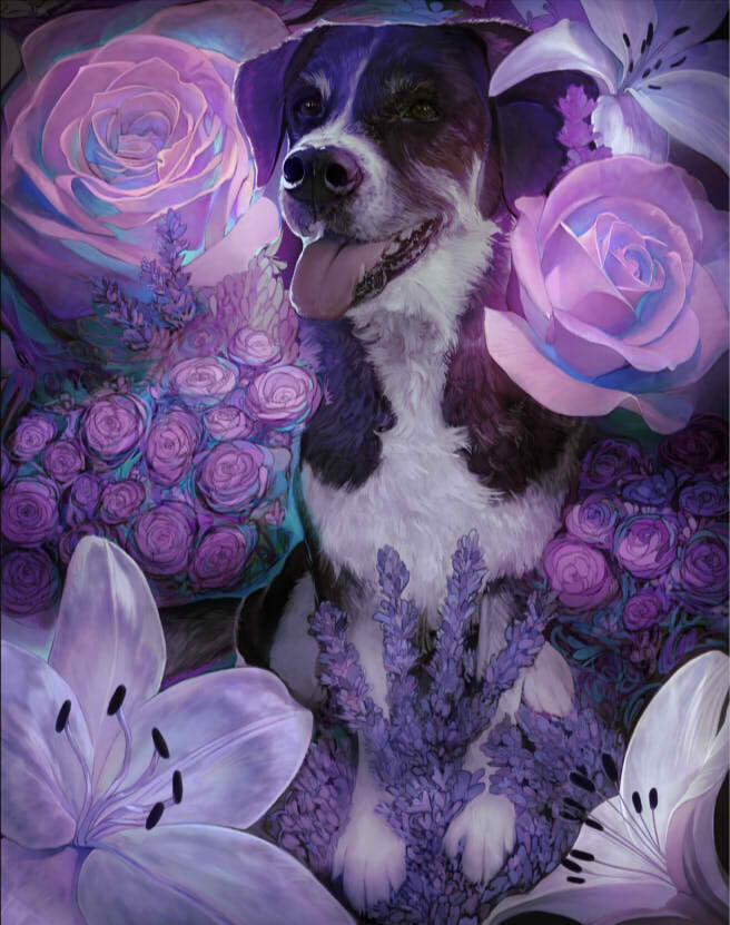 another_distortion's sweet pup, Mallomar